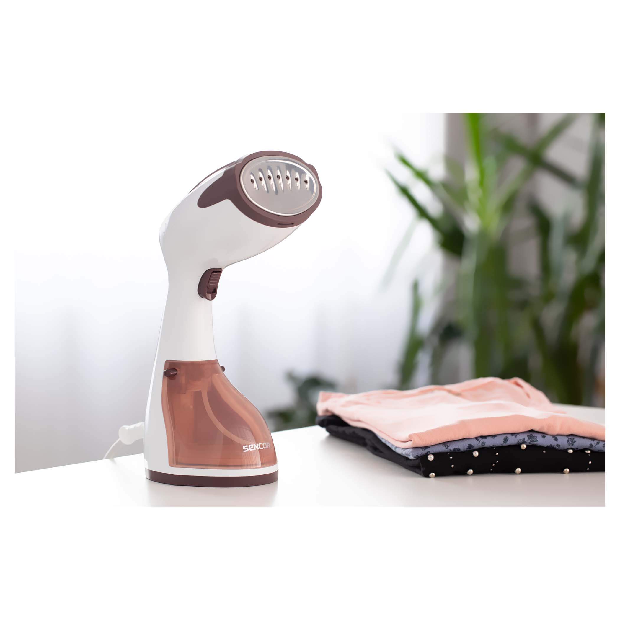 garment steamer deutsch