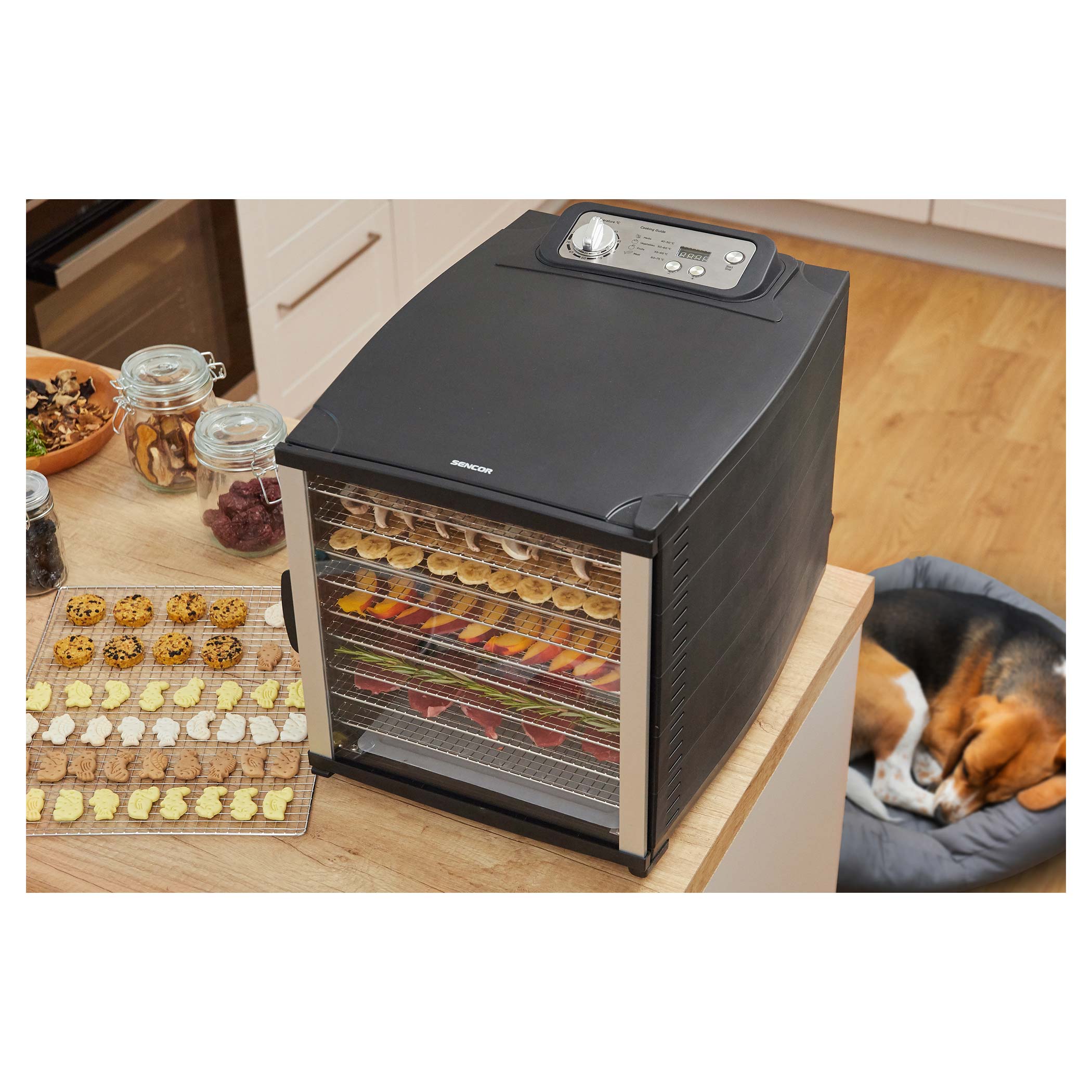 60 Tray Dehydrator