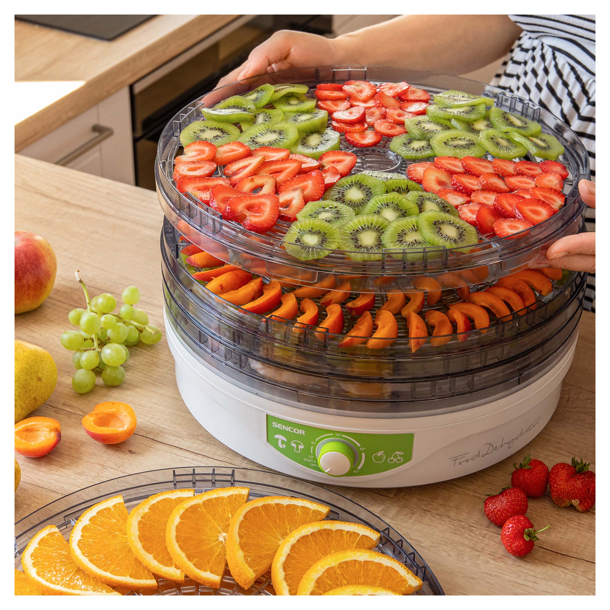 Food dehydrator, SFD 2105WH