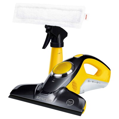 steam window cleaner