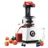 SSJ 4043WH - Slow Juicer