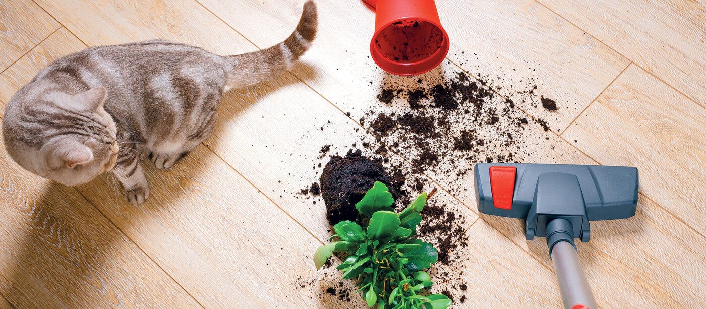 Multi-purpose Vacuum Cleaners