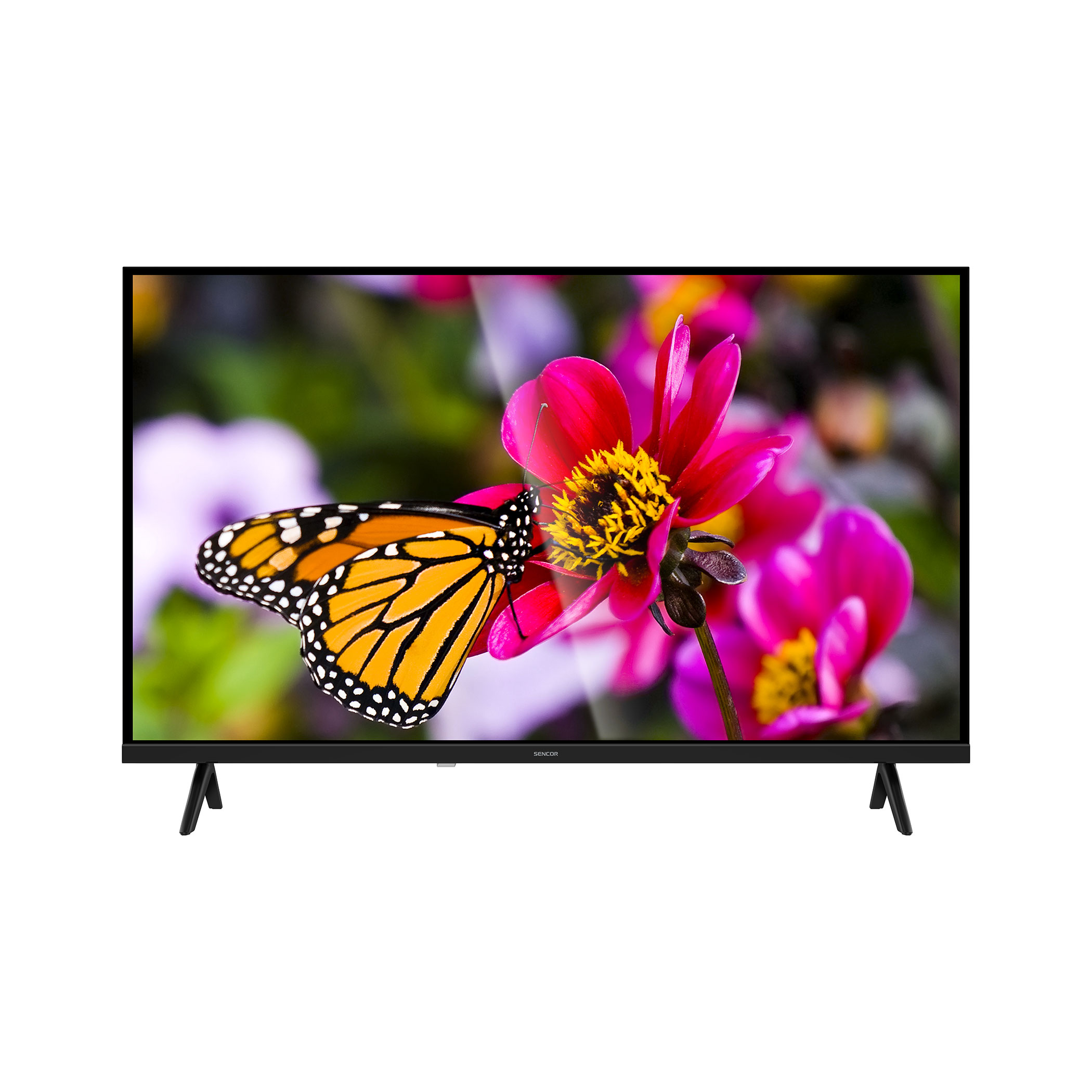 HD TV H.265 (HEVC) | SLE 3234 | Sencor.com